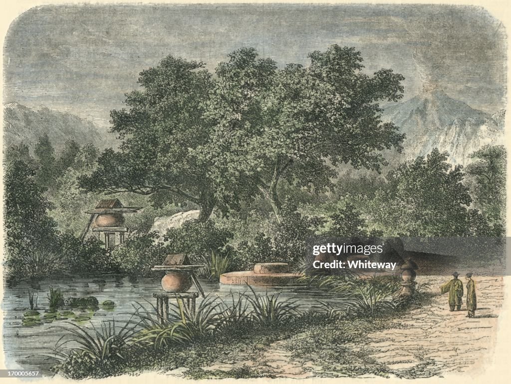 Japanese Tea Garden Mount Fuji 19th century 1868
