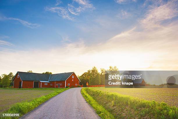 scena rurale in svezia - fattoria foto e immagini stock