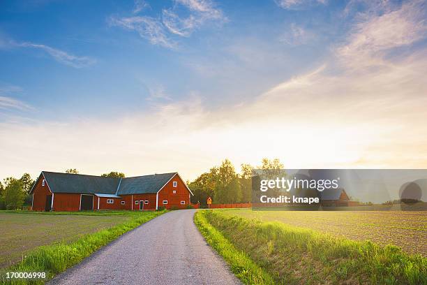 rural scene in sweden - rural house stock pictures, royalty-free photos & images