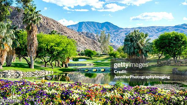 a luxury golf course with flowers and a bridge - country club stockfoto's en -beelden