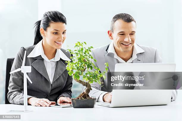 businesspeople working together on laptop. - bonsai tree office stock pictures, royalty-free photos & images