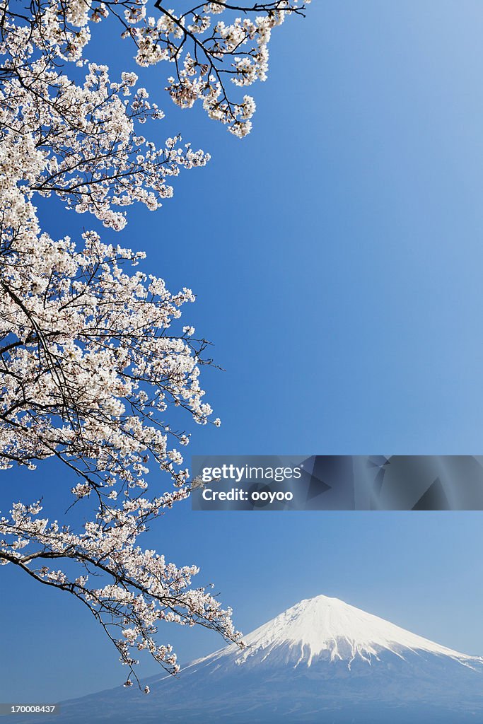 Mt Fuji in Spring