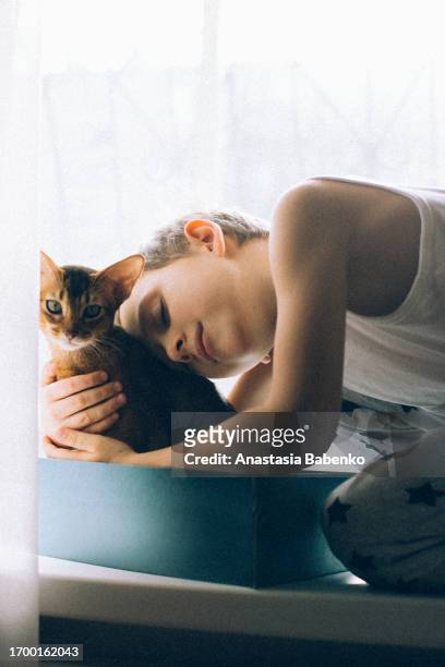 school age boy playing with a cat while sitting in front of the window - abyssinian cat stock-fotos und bilder