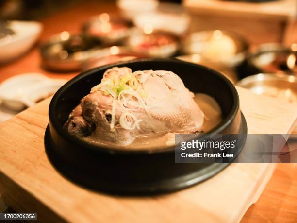 korean ginseng chicken soup - samgyetang stock pictures, royalty-free photos & images