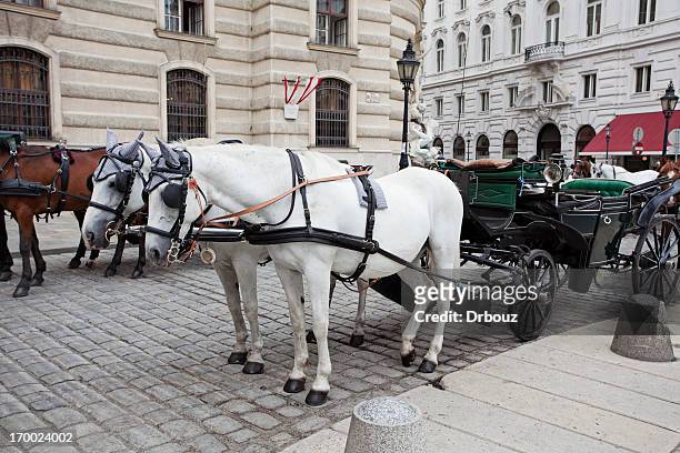 chariots - schonbrunn palace vienna stock pictures, royalty-free photos & images