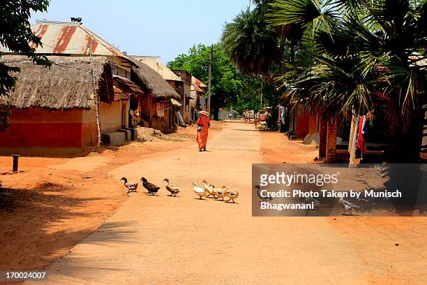 village street - village stock pictures, royalty-free photos & images