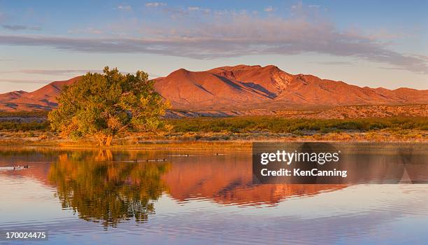 autumn pond and mountain - cottonwood stock pictures, royalty-free photos & images