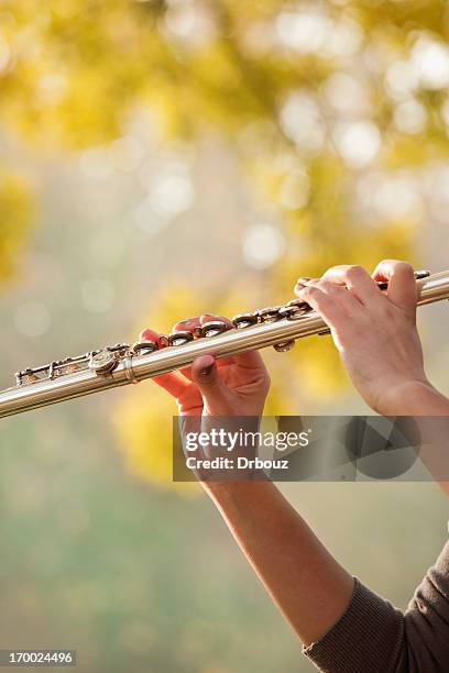 flute - flute musical instrument stock pictures, royalty-free photos & images