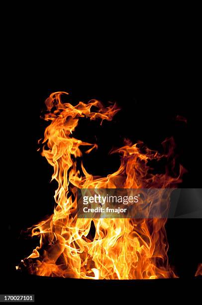 campfire - fire natural phenomenon stockfoto's en -beelden