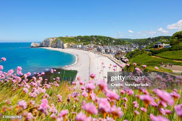 view from the cliff to etretat, normandy - normandy war stock pictures, royalty-free photos & images