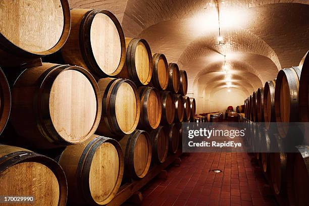 entire grape harvest gently maturing into wine in cellar - wine barrel stock pictures, royalty-free photos & images