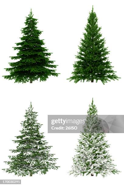 christmas trees collection / set on pure white background (65mpx-xxxl) - christmas tree isolated stock pictures, royalty-free photos & images