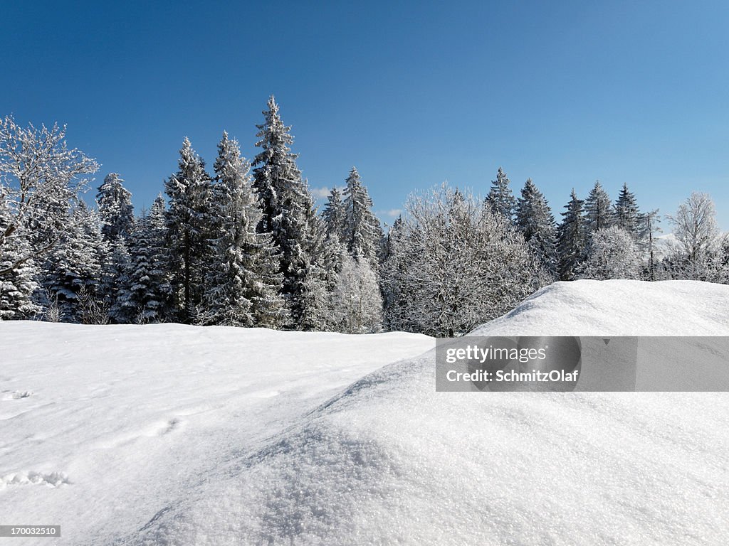 Snowy winter landscape in Black Forest