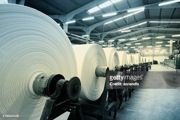 fábrica têxtil - planta do algodão imagens e fotografias de stock