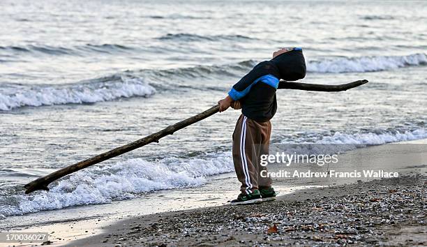 Jose Trilho plays with a tree branch at Marie Curtis Park Beach in Toronto