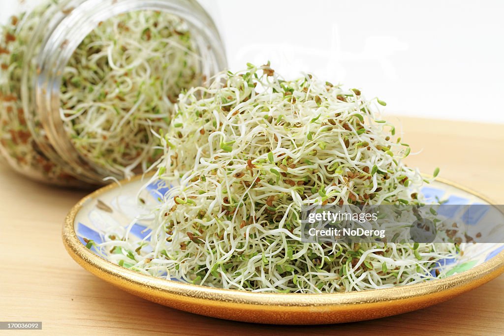 Alfalfa sprouts