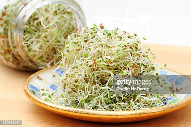 alfalfa sprouts - alfalfa stock pictures, royalty-free photos & images