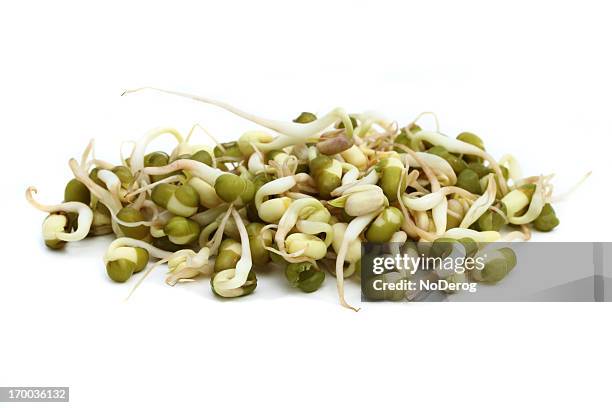 macro image of mung bean sprouts - plant germinating from a seed stock pictures, royalty-free photos & images