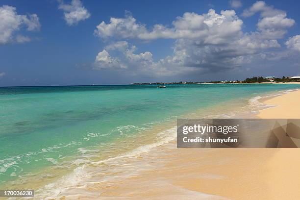 caribbean: dream beach - caiman stock pictures, royalty-free photos & images