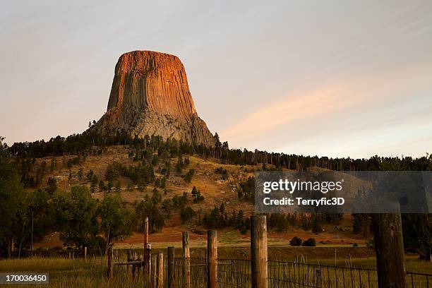 devil's tower nat'l monument, wy sunrise - devils tower stock pictures, royalty-free photos & images