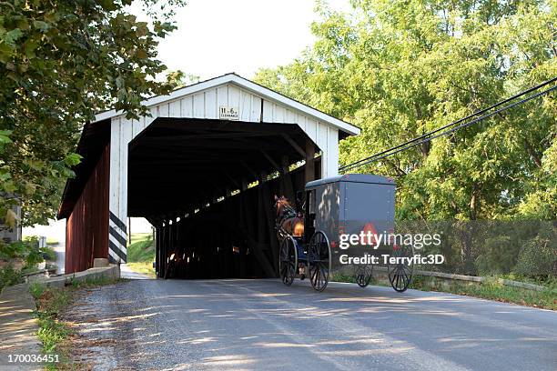 ponte coberta com amish cavalo e buggy - amish horse and buggy imagens e fotografias de stock