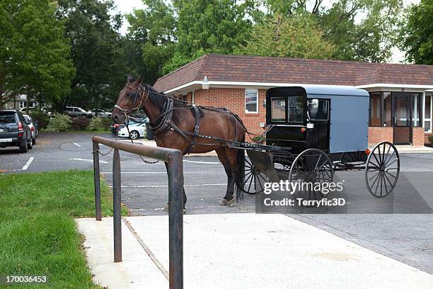 amish horse and buggy in parking lot - amish buggy stock pictures, royalty-free photos & images