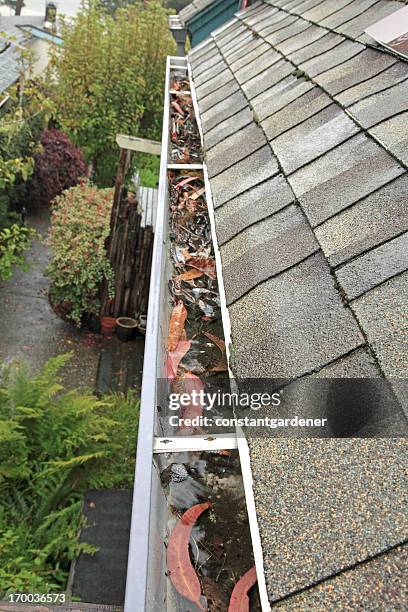 folhas obstrução da sarjeta - rain gutter imagens e fotografias de stock