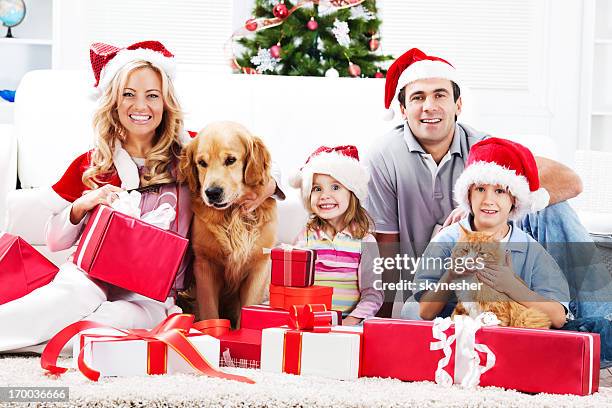 giovane famiglia godendo di natale con gli animali domestici - cat with red hat foto e immagini stock