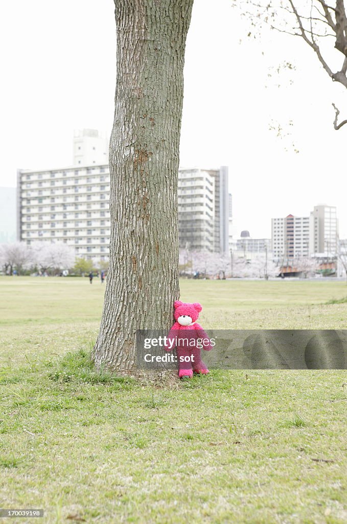 Pink teddy bear in the park