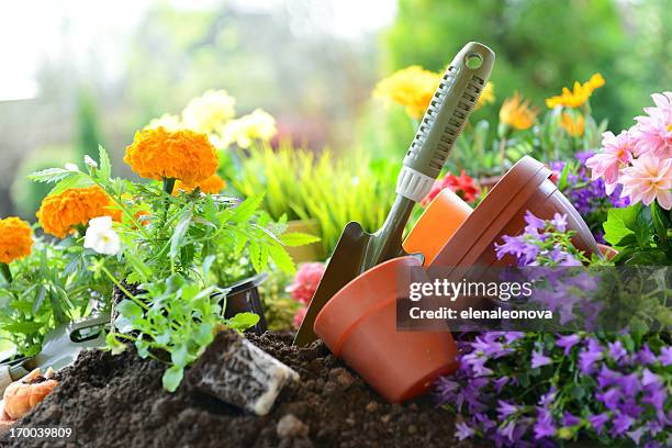 flowers in the garden - gardening tools stock pictures, royalty-free photos & images