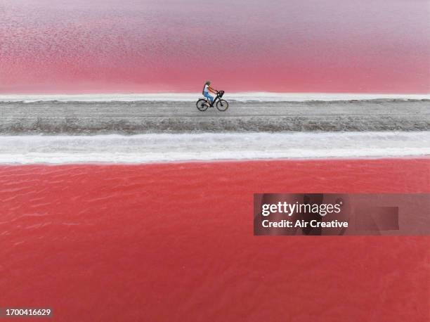 aerial image of a young woman cycling across a pink salt marsh on a dirt road, camargue, france - air france stock pictures, royalty-free photos & images