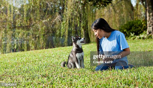 preteen girl playing with puppy - siberische-husky stockfoto's en -beelden