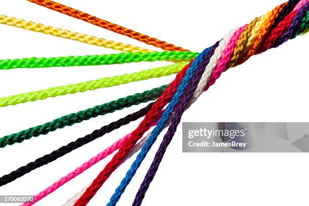 individual strands joining together as team, family, business or network - intertwined stock pictures, royalty-free photos & images