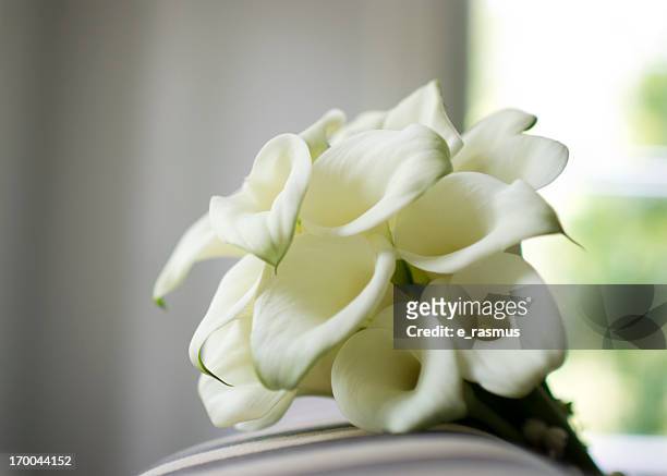 white calla lily bouquet - calla lily stock pictures, royalty-free photos & images