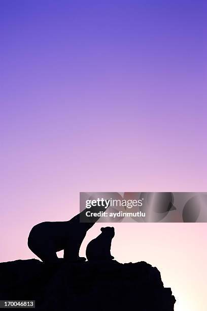 polar bear with cub - icecap stock pictures, royalty-free photos & images