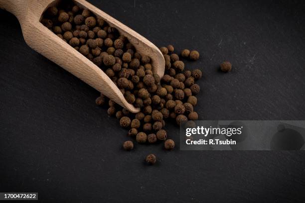 wooden shovel with black peppercorn - peppar bildbanksfoton och bilder