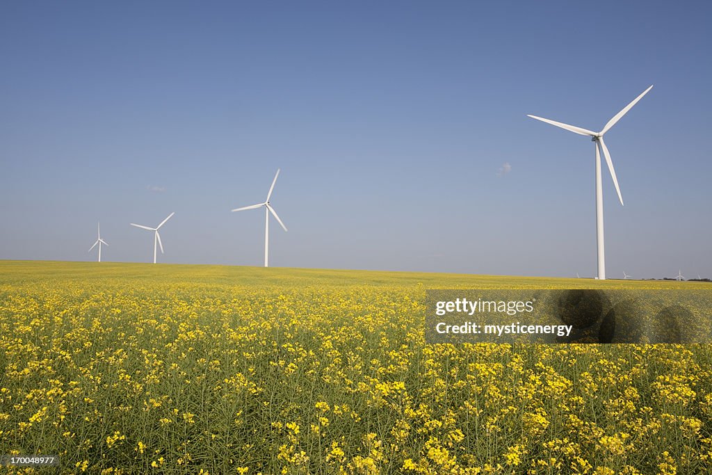 Wind Turbine