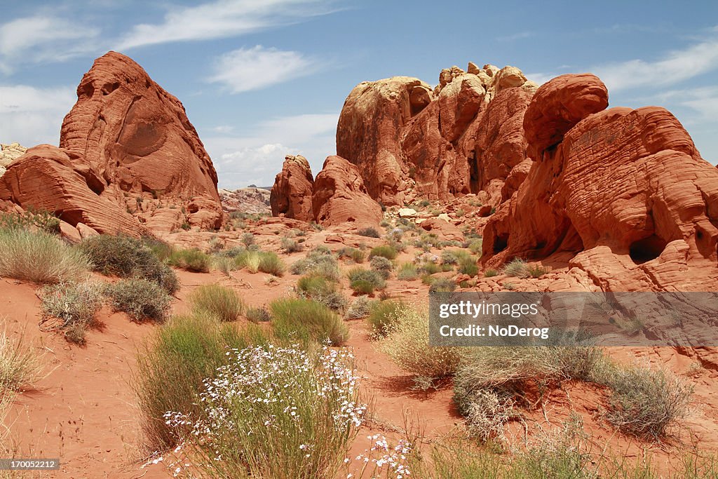 Red rock formations in Nevada desert