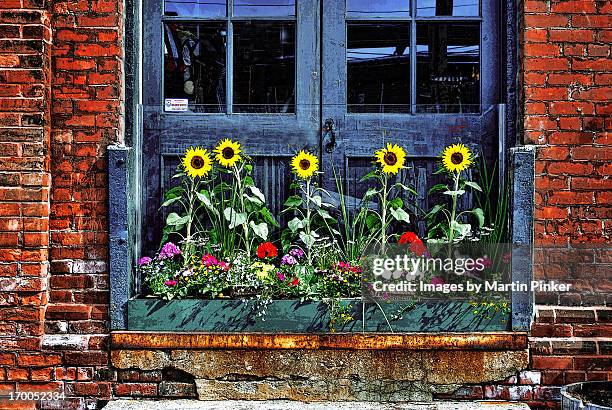 distillery flower box - window box stock pictures, royalty-free photos & images