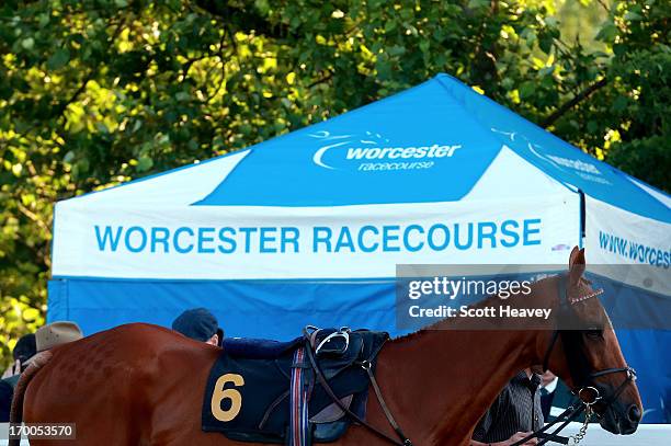 General view of a race horse during Worcester races on June 6, 2013 in Worcester, England.