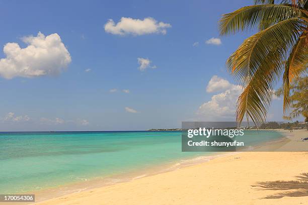 caribbean: dream beach - georgetown bahama's stockfoto's en -beelden