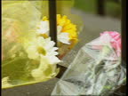 preview clip thumb