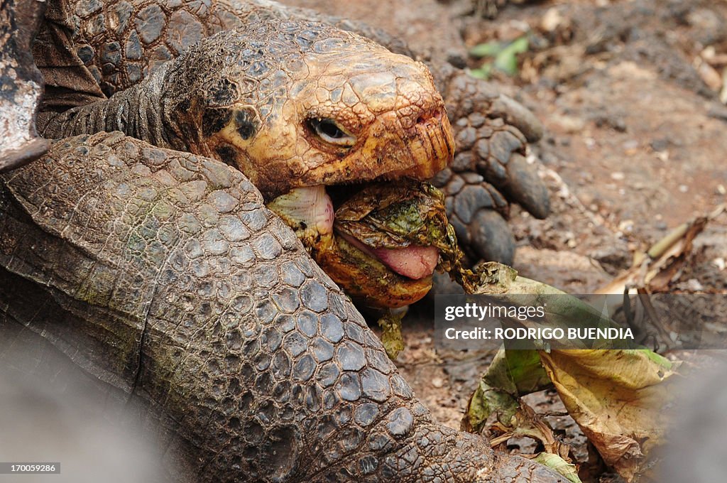 ECUADOR-GALAPAGOS-CONSERVATION-SCIENCE