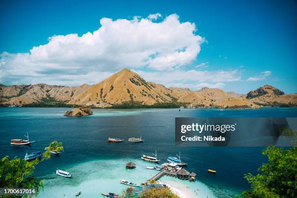 beautiful beach komodo island, indonesia - oost nusa tenggara stockfoto's en -beelden