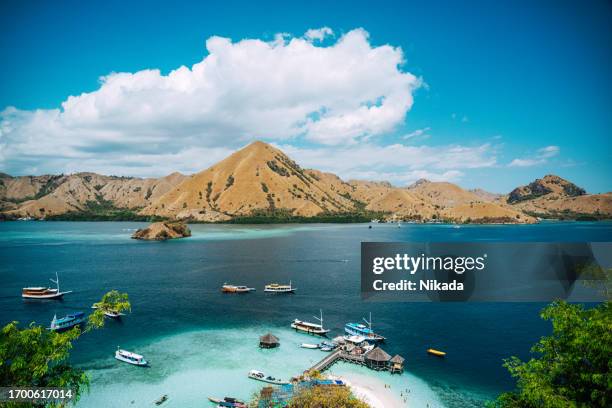 beautiful beach komodo island, indonesia - nusa tengara oriental imagens e fotografias de stock
