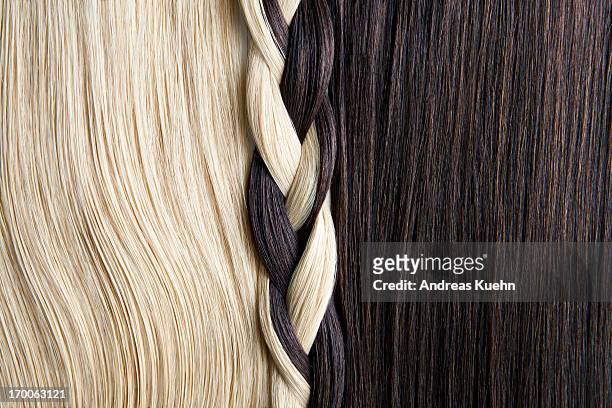 still life of blond and brown hair, braided. - duality stock-fotos und bilder