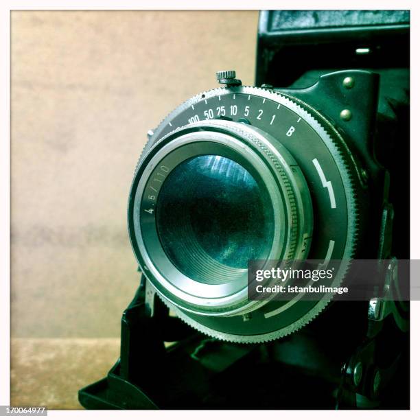 folding camera - 1910 stock pictures, royalty-free photos & images