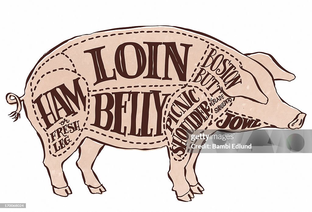 Pig charcuterie