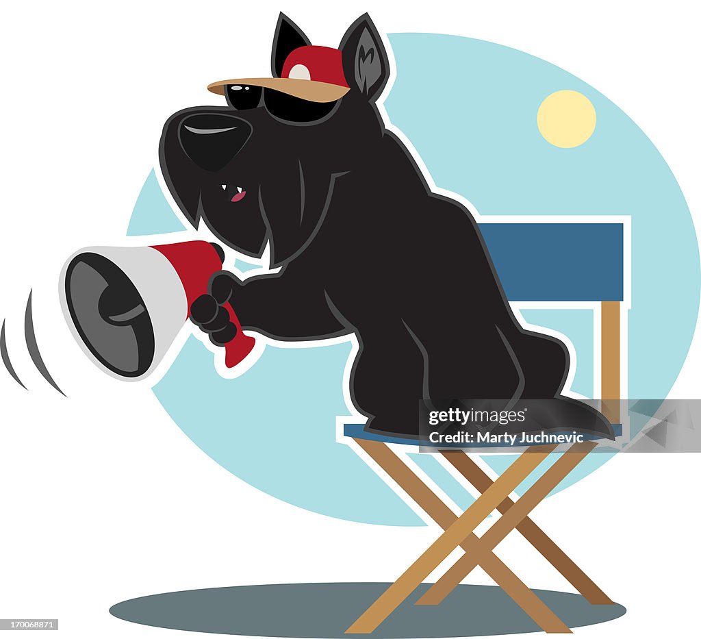 A scottish terrier as a movie director
