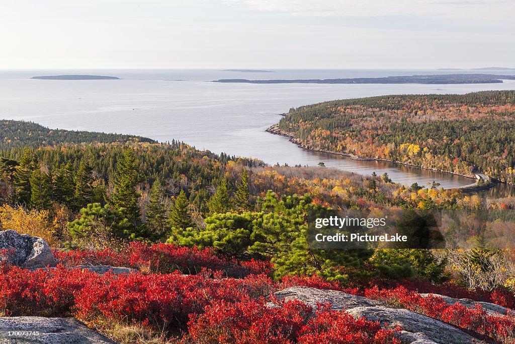Otter Cove from Gorham Mountain in Autumn, Acadia National Park